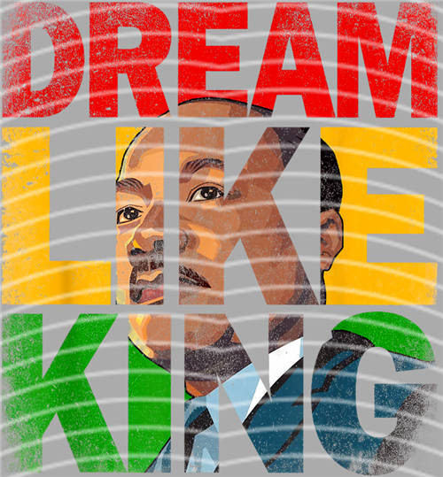 Black History in 1865-LY 558